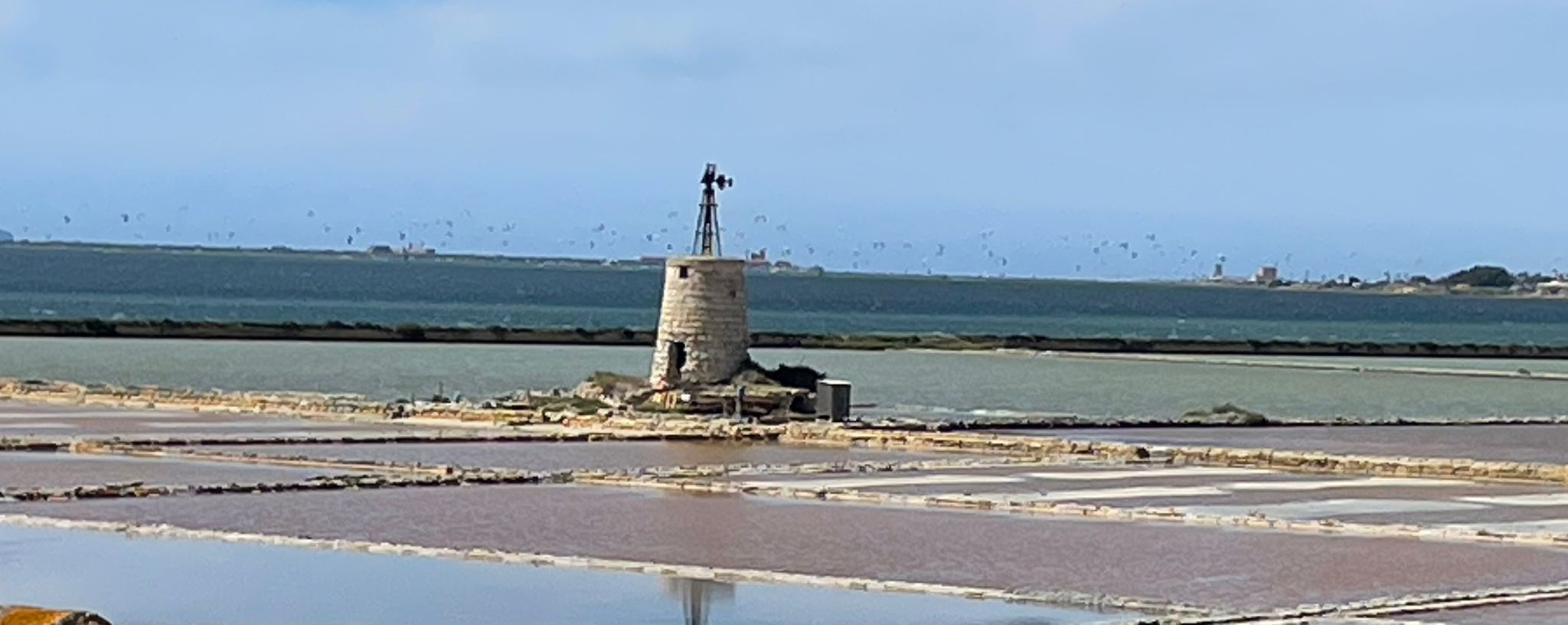 Marsala16